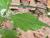 Img.VTax2509.Ex1.Img3
