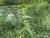 Img.VTax2509.Ex1.Img5