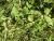 Img.VTax2509.Ex2.Img1