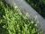 Img.VTax2511.Ex2.Img1