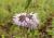 Img.VTax2514.Ex1.Img1