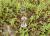 Img.VTax2514.Ex1.Img2