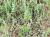 Img.VTax2514.Ex1.Img3