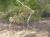 Img.VTax2514.Ex2.Img1