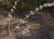 Img.VTax2514.Ex2.Img2