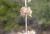 Img.VTax2514.Ex2.Img3