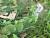 Img.VTax2515.Ex2.Img1