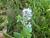 Img.VTax2515.Ex2.Img2