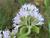 Img.VTax2515.Ex2.Img3