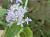 Img.VTax2515.Ex2.Img4