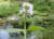 Img.VTax2515.Ex3.Img1