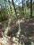 Img.VTax2522.Ex1.Img2
