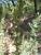 Img.VTax2522.Ex1.Img3