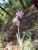 Img.VTax2522.Ex1.Img4