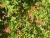 Img.VTax2537.Ex2.Img1