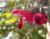 Img.VTax2537.Ex2.Img2