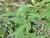 Img.VTax2544.Ex1.Img1