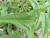 Img.VTax2544.Ex1.Img3
