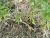 Img.VTax2544.Ex1.Img4