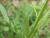 Img.VTax255.Ex1.Img1