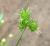 Img.VTax255.Ex1.Img3