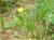 Img.VTax255.Ex2.Img1
