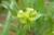 Img.VTax255.Ex2.Img2