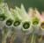 Img.VTax2550.Ex1.Img3