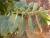 Img.VTax2551.Ex1.Img3