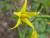 Img.VTax2562.Ex1.Img3