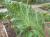 Img.VTax2562.Ex1.Img5