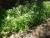Img.VTax2562.Ex2.Img1