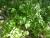 Img.VTax2562.Ex2.Img2