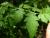 Img.VTax2562.Ex2.Img3