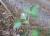 Img.VTax2566.Ex2.Img1