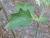 Img.VTax2566.Ex2.Img2