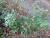 Img.VTax2566.Ex2.Img3