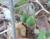 Img.VTax2566.Ex2.Img6