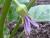 Img.VTax2570.Ex2.Img2