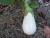 Img.VTax2570.Ex2.Img3
