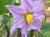 Img.VTax2570.Ex2.Img5