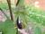 Img.VTax2570.Ex2.Img6