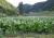 Img.VTax2576.Ex2.Img1