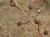 Img.VTax2580.Ex2.Img2
