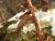 Img.VTax2580.Ex2.Img3