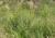 Img.VTax2581.Ex1.Img1