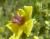 Img.VTax2581.Ex1.Img3