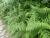 Img.VTax26.Ex1.Img5