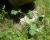 Img.VTax2608.Ex1.Img1