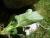 Img.VTax2608.Ex1.Img2